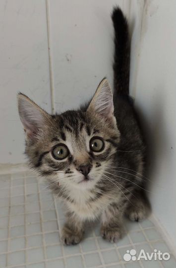 Малыш Гарик 2 месяца в дар