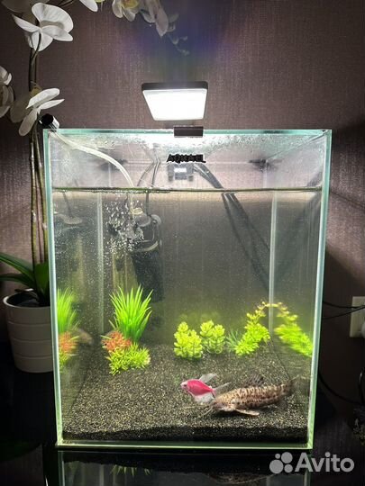 Аквариум aquael 30
