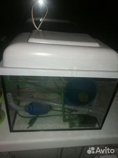 Аквариум в сборе, даже есть подсветка
