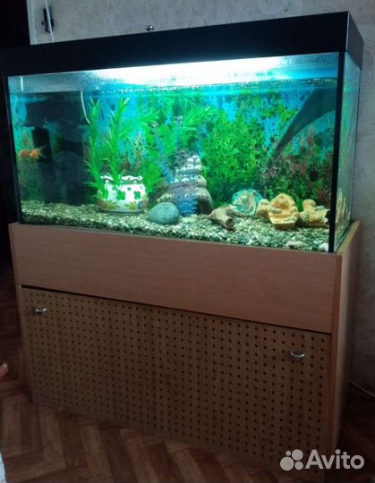 Аквариум для рыбок