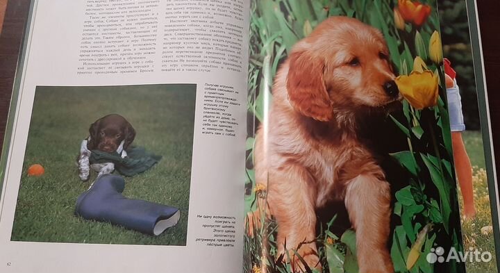 Книги для собаководства