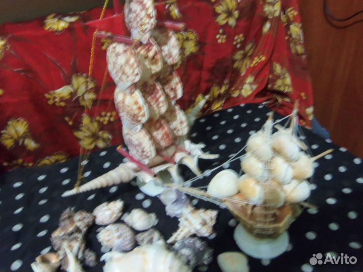 Морские ракушки