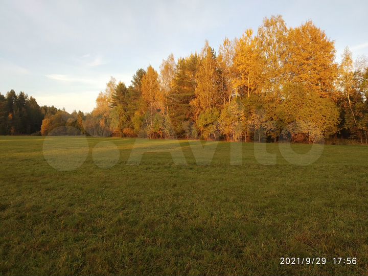 Участок 2 га (ИЖС)