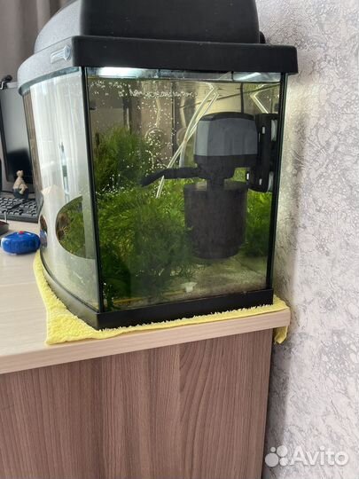 Аквариум польский, полный комплект, 55 литров