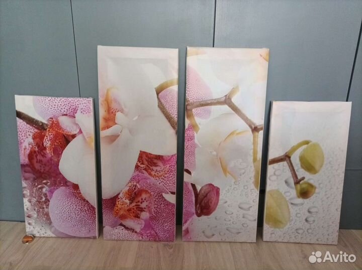 Картины орхидея сакура
