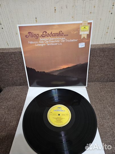 Various – Flieg, Gedanke Beliebte Opernchöre