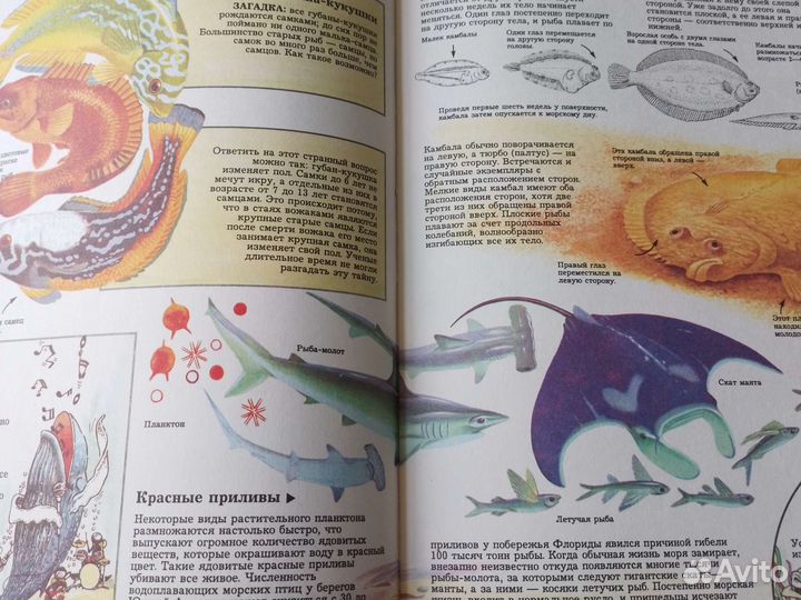 Детские книги энциклопедии