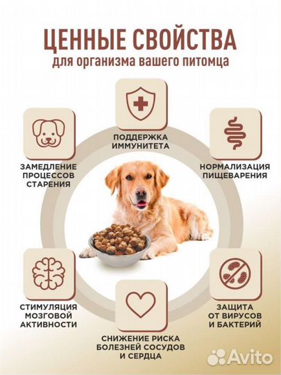 Сухой корм для собак каша