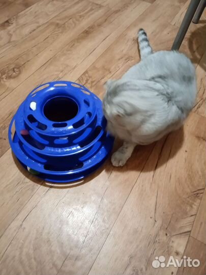 Игрушки для кошек