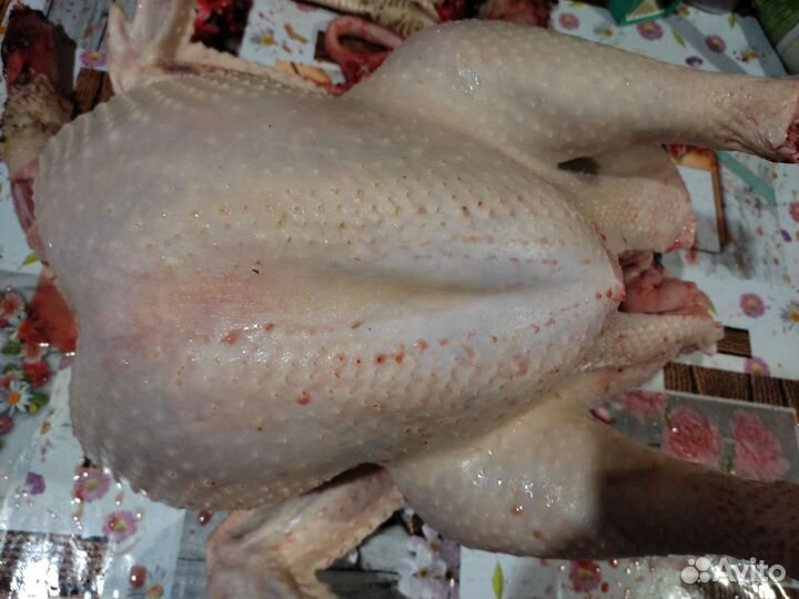 Индюшатина мясо, фарш, суповые наборы, котлеты