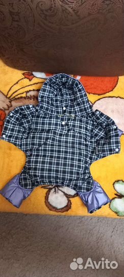 Одежда для средних собак