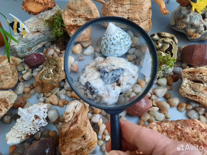 Аквариум грунт