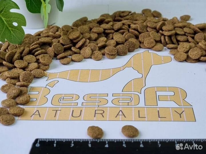 Сухой корм для кошек besar