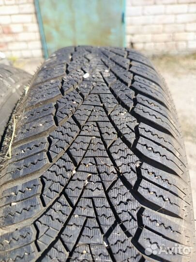 Arivo Winmaster ProX ARW3 155/65 R14 75T