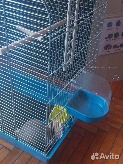 Клетка для грызунов, попугая, хищников