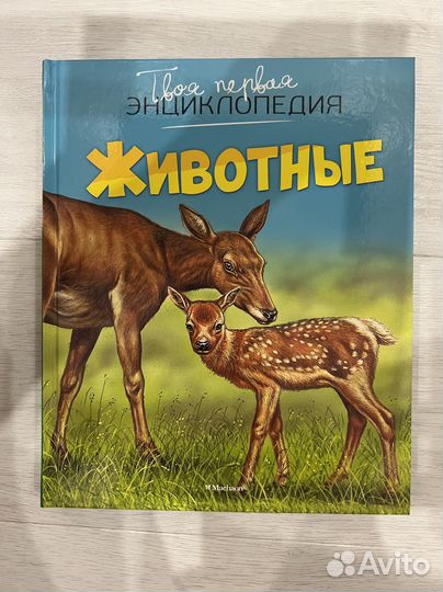 Детская энциклопедия