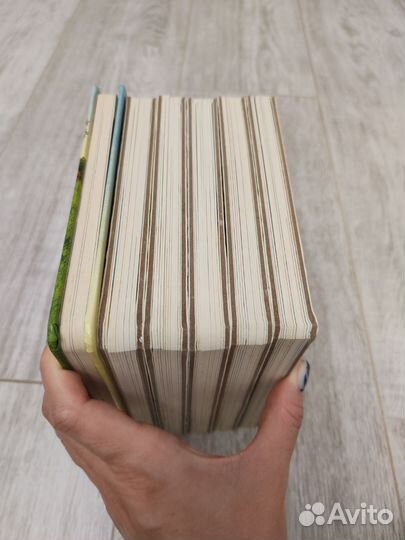 Книги из картона издательства Clever