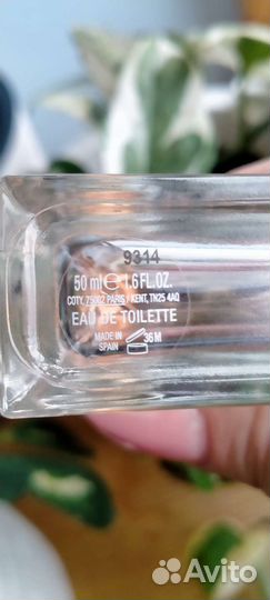 Burberry Her blossom