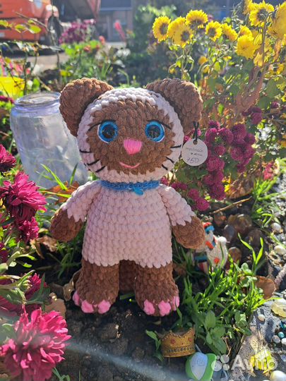 Коты