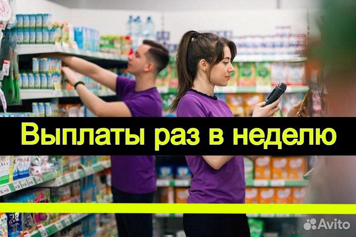 Счетчик ревизор с Еженедельными выплатами