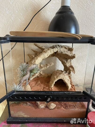Террариум 