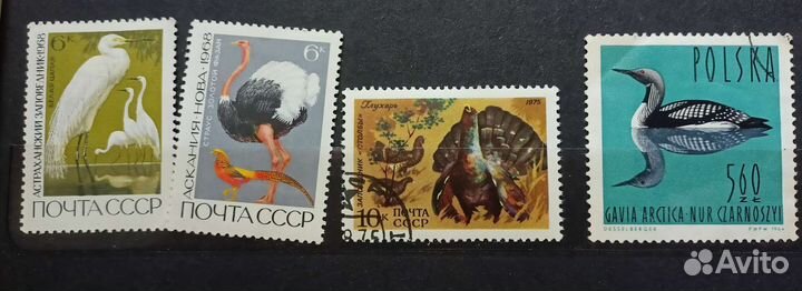 Почтовые марки птицы