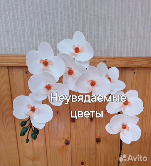 Орхидея с подсветкой