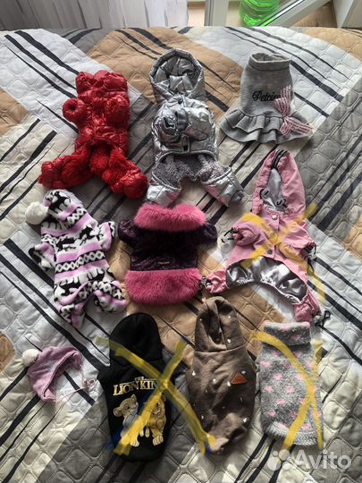 Одежда для собак мелких пород