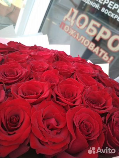 Розы Букеты Цветы Доставка