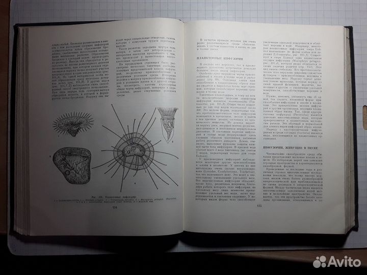 Жизнь животных. Том 1. Беспозвоночные