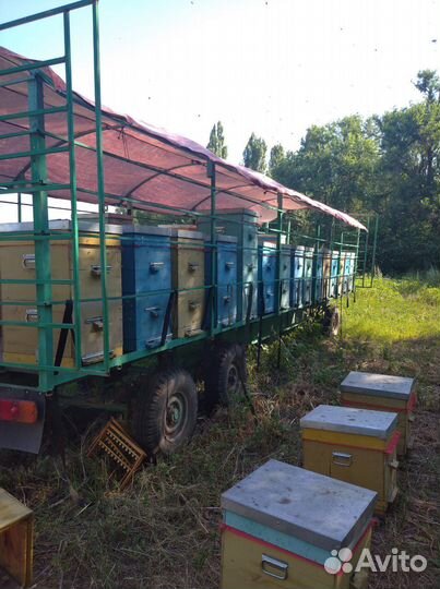 Пчелоприцеп