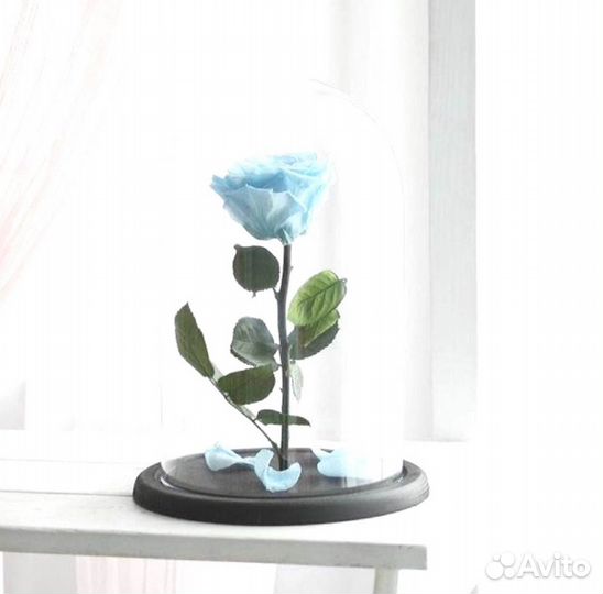 Роза в колбе. От производителя