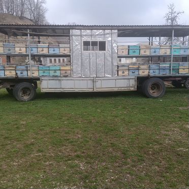 Пчелы и улья