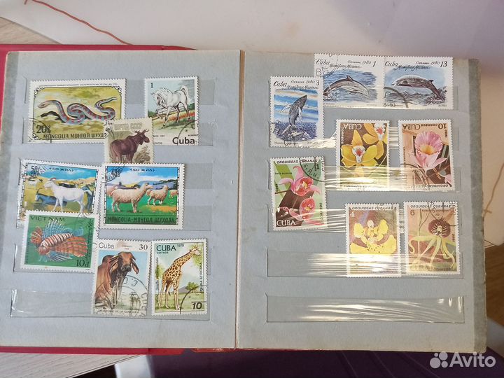 Марки в альбоме