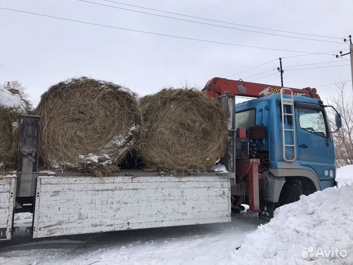 Доставка манипулятором, борт 11 т. стрела 3 т