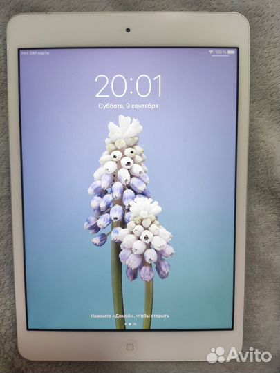 iPad mini 2 32gb