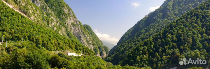 Экскурсия в Красную Поляну 4 в 1