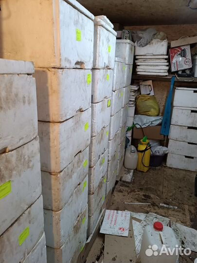 Продам вермиферму