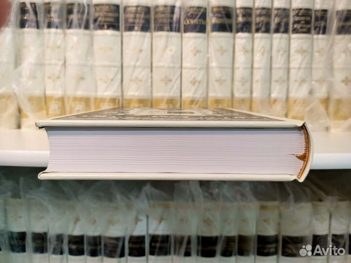 Потерянный рай. Мильтон. Вита Нова. 2008 г