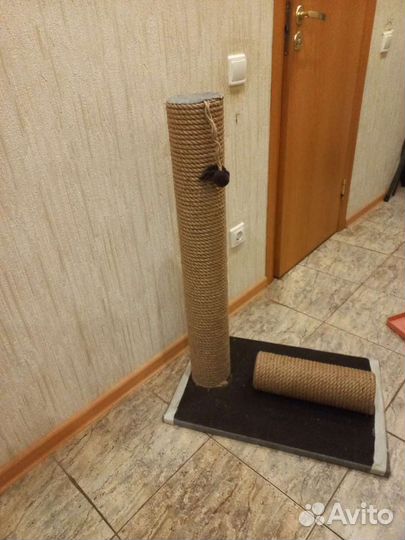 Когтеточки