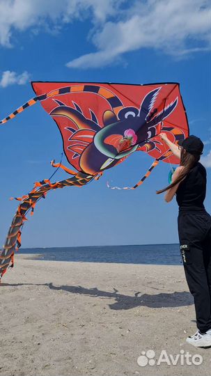 Воздушный змей большой