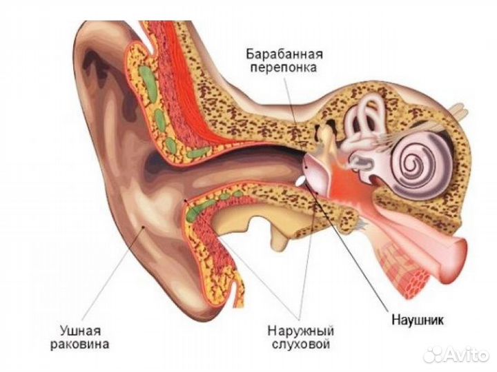 Микронаушники капсульные/магнитные +экзамены