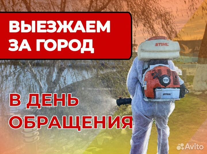 Уничтожение тараканов