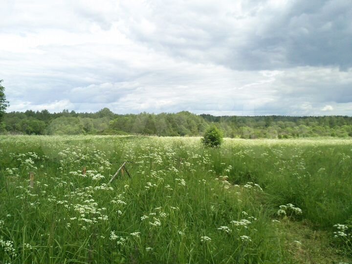 Участок 37,7 га (СНТ, ДНП)