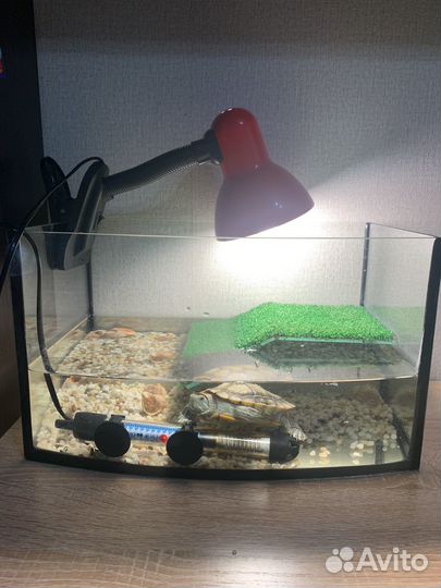 Аквариум для черепахи 15 литров