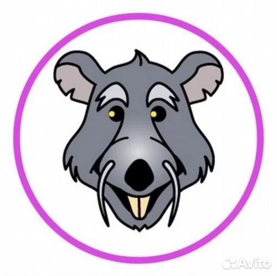 Смайлики дурак онлайн