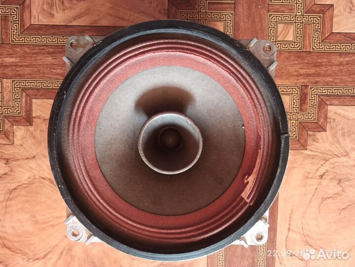 Динамик 10 гдш