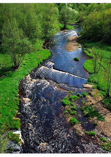 Участок 10 сот. (СНТ, ДНП)