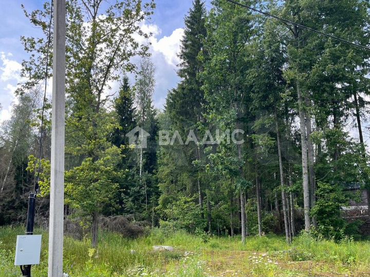 Участок 24 сот. (СНТ, ДНП)