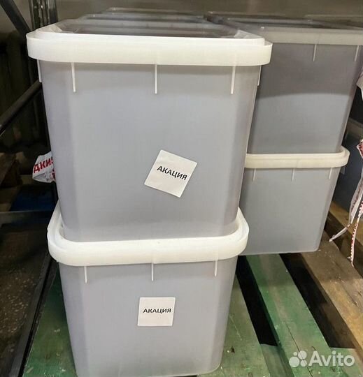 Акациевый оптом свежий